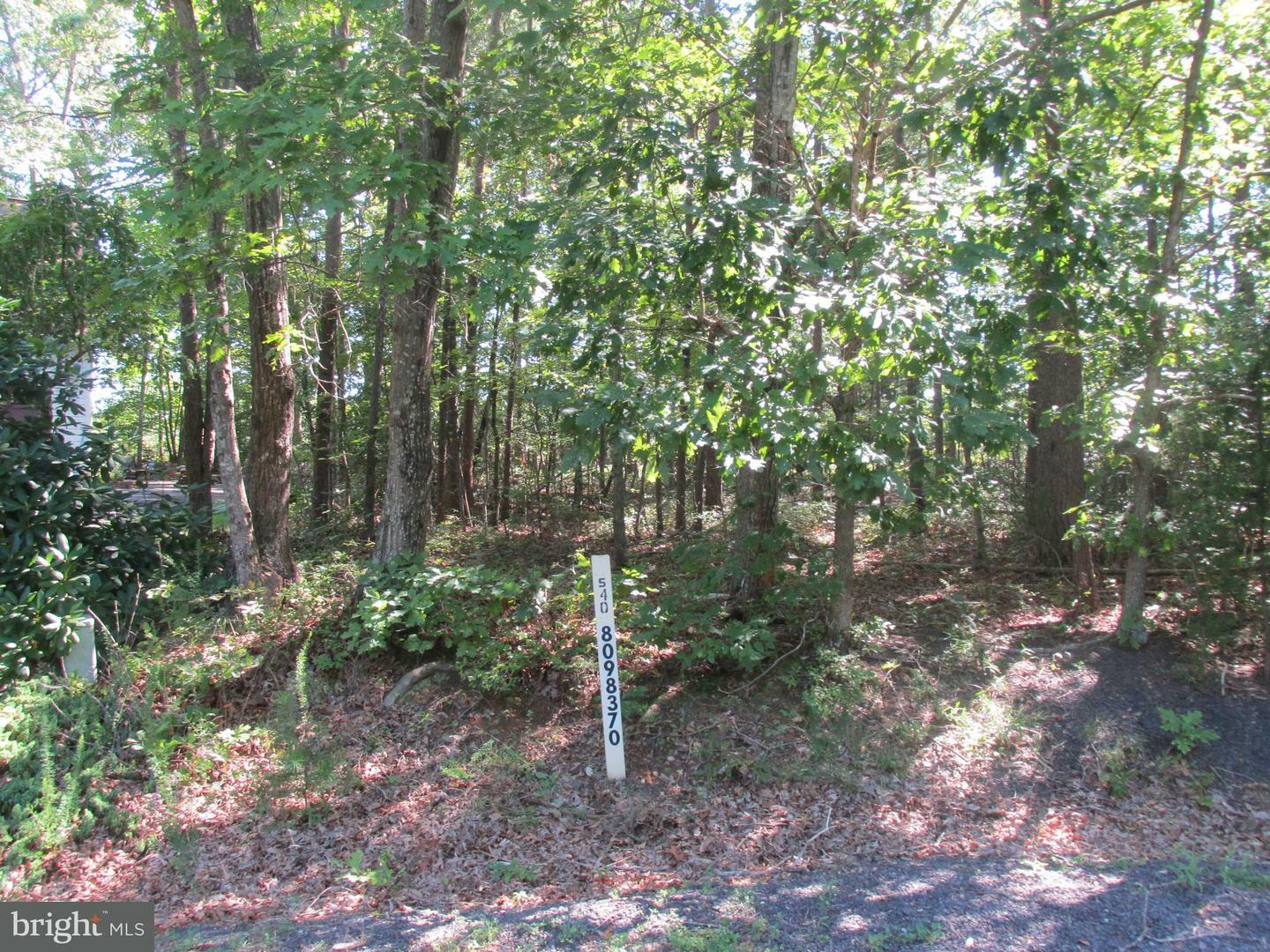 Property Photo:  105 Hickory Court  VA 22508 