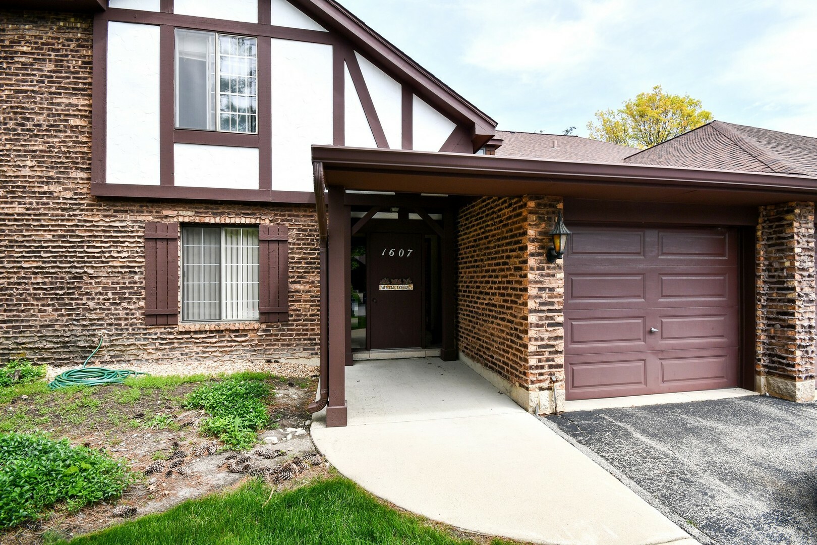Property Photo: 1607 Thames Court B IL 60189
