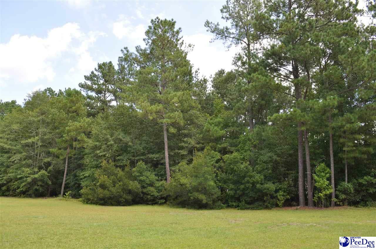 Property Photo:  Lot 6 Butler Road  SC 29571 