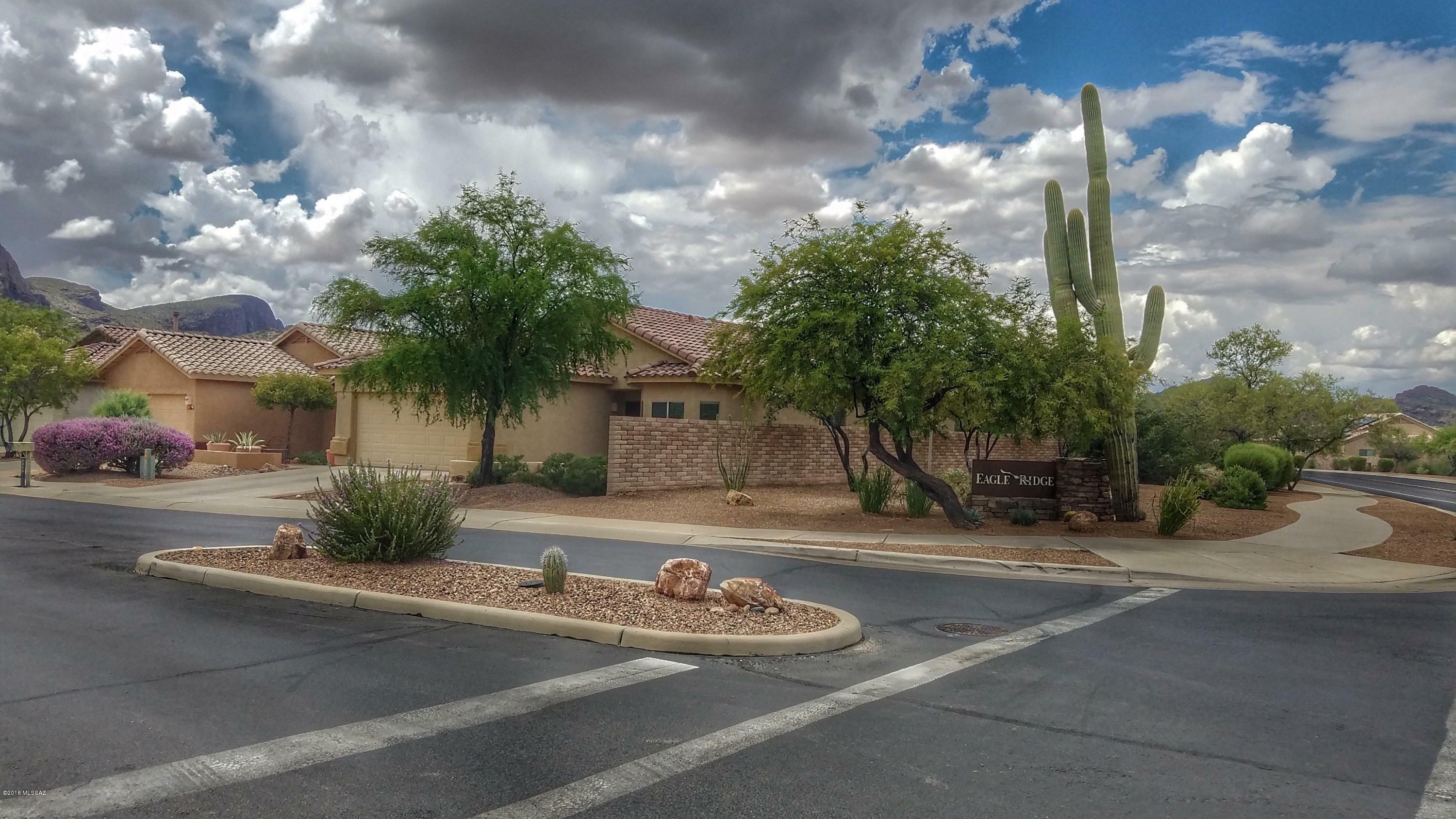 Property Photo:  8369 N Rocky View Lane  AZ 85743 