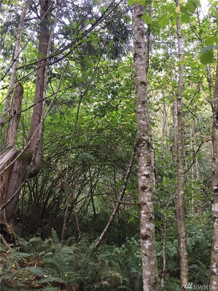 Property Photo: 7762 Casey Rd WA 98244