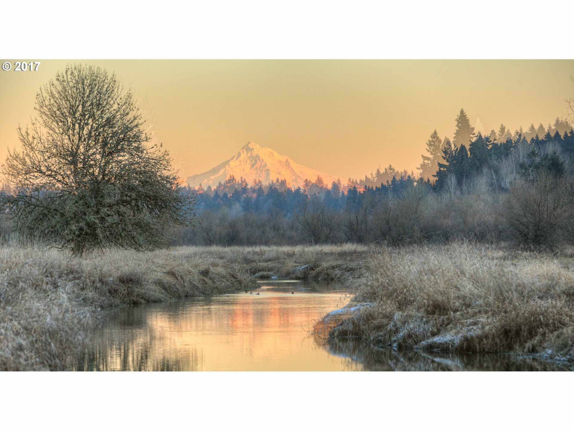 Property Photo: 13810 NW 35th Ct Lot 5 WA 98685