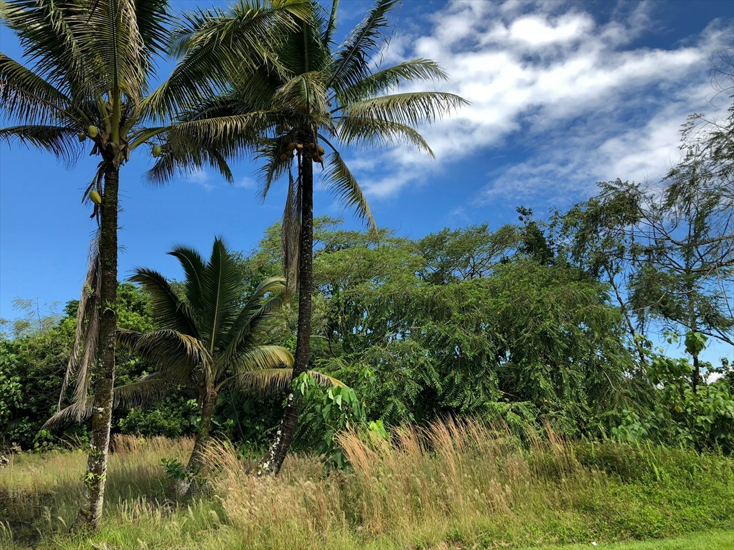 Property Photo:  125 000125  HI 96720 