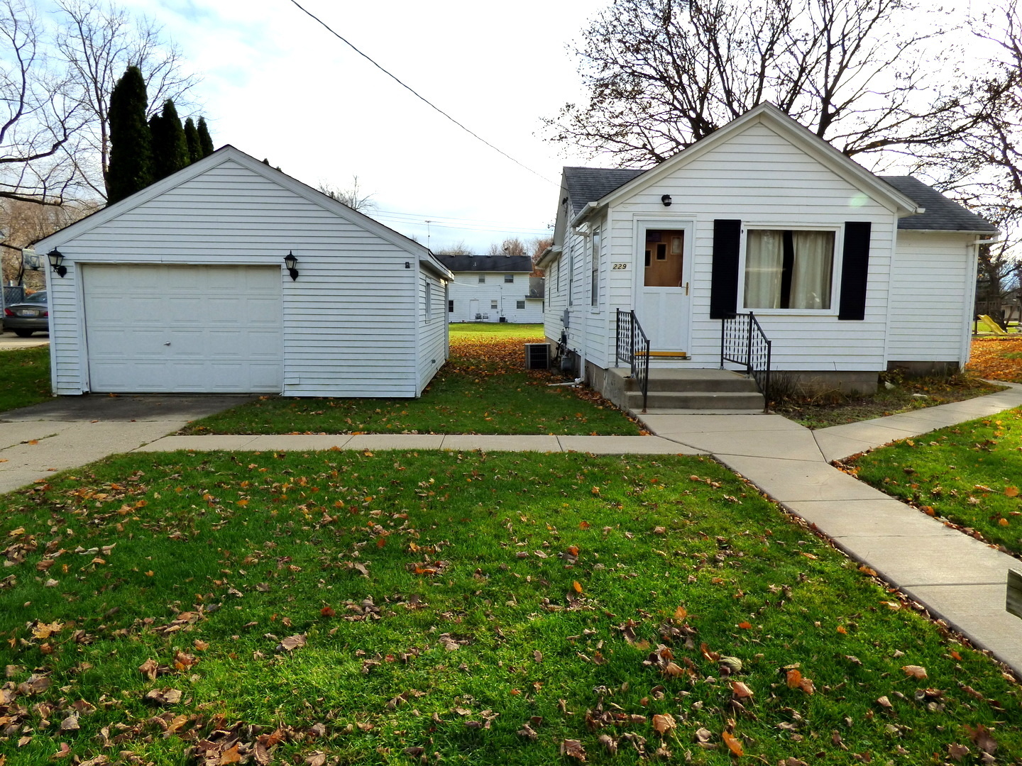 Property Photo: 229 Grove Avenue IL 60140