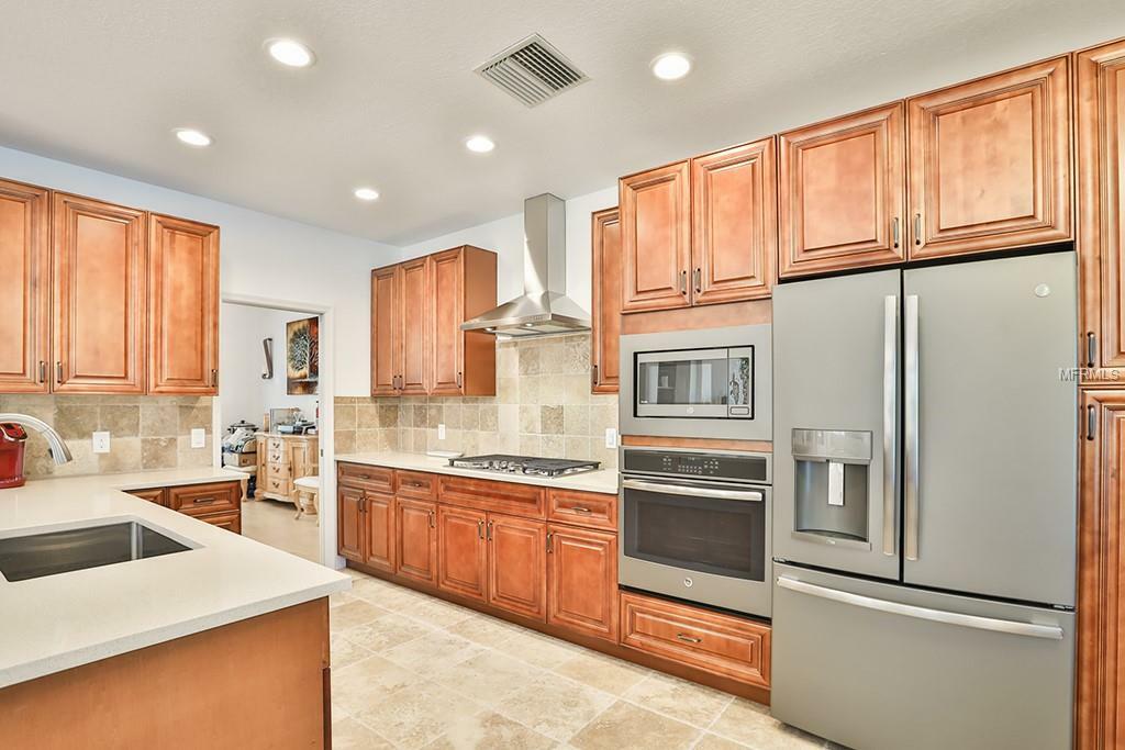 Property Photo:  17919 Holly Brook Drive  FL 33647 