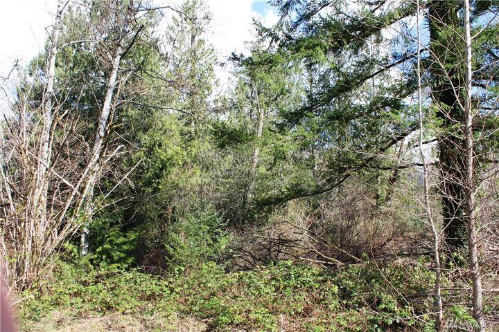 Property Photo:  163 Xx 419th Ave SE  WA 98251 