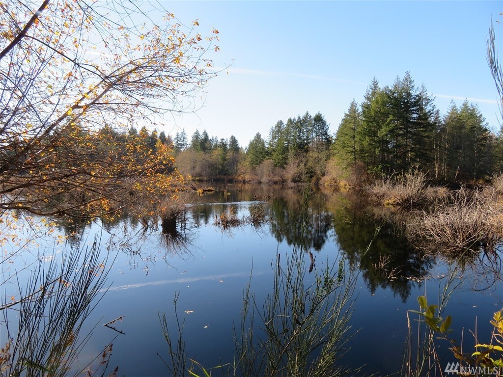 Property Photo: Lot 5 Wayne Rd WA 98380