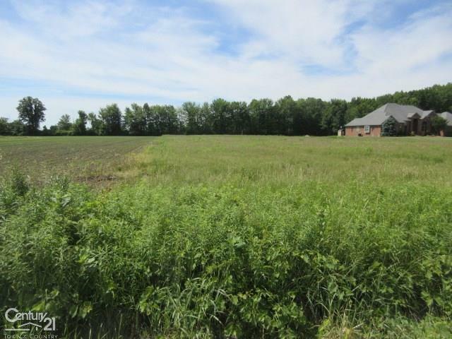 22770 30 Mile  Ray Twp MI 48096 photo