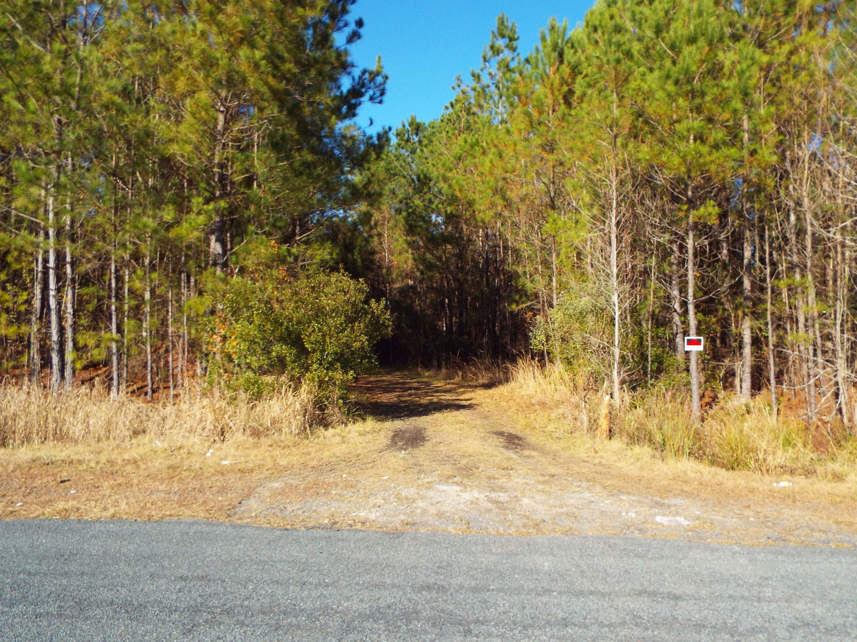 Property Photo:  0 Redbank Road  SC 29488 