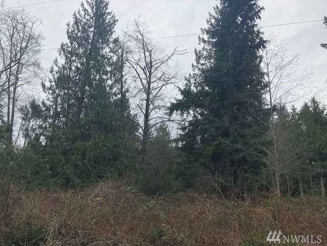 Property Photo:  7600 Block 165th Ave NW  WA 98292 