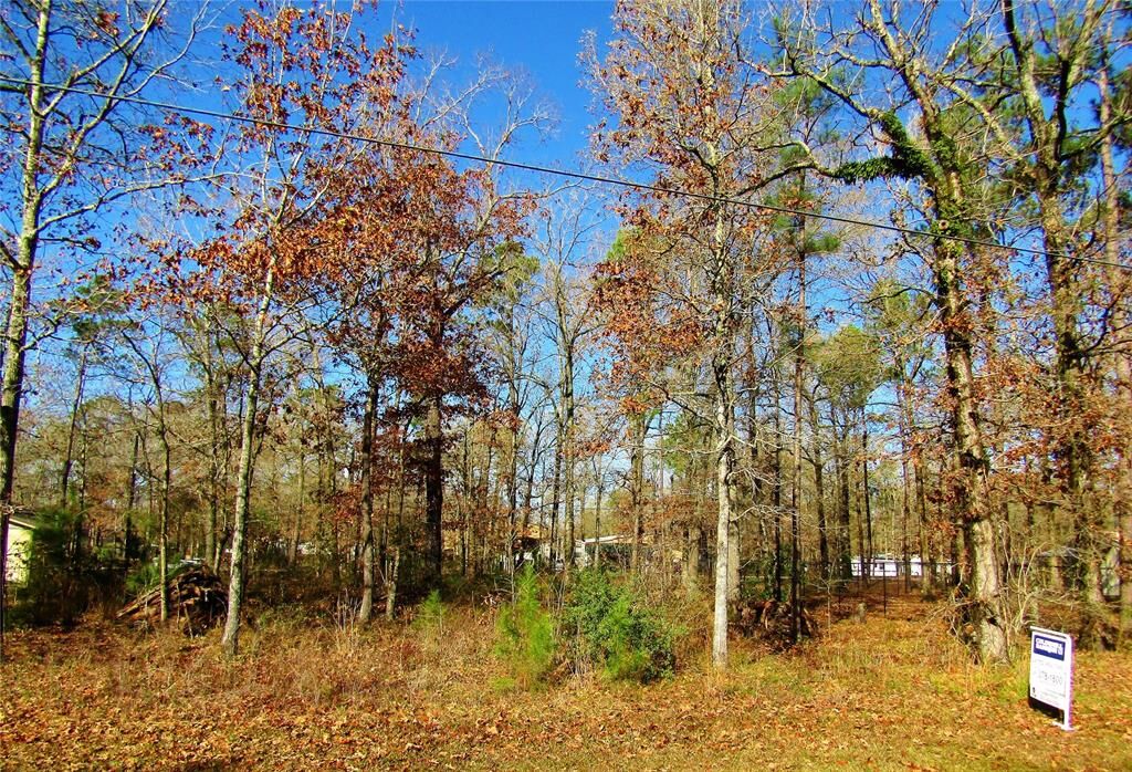 Property Photo:  0 Nassau Lane  TX 77364 