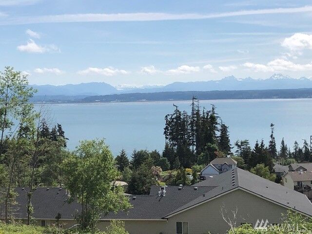 Property Photo:  0 Lot 46  Lightning Way  WA 98282 