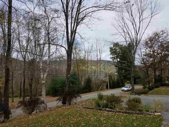 Property Photo: 296 Chester Arthur Road VT 05001