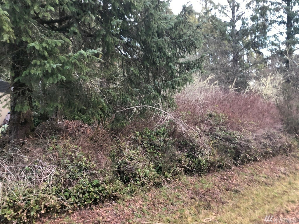 Property Photo:  940 950 960 Discovery Ave SE  WA 98569 