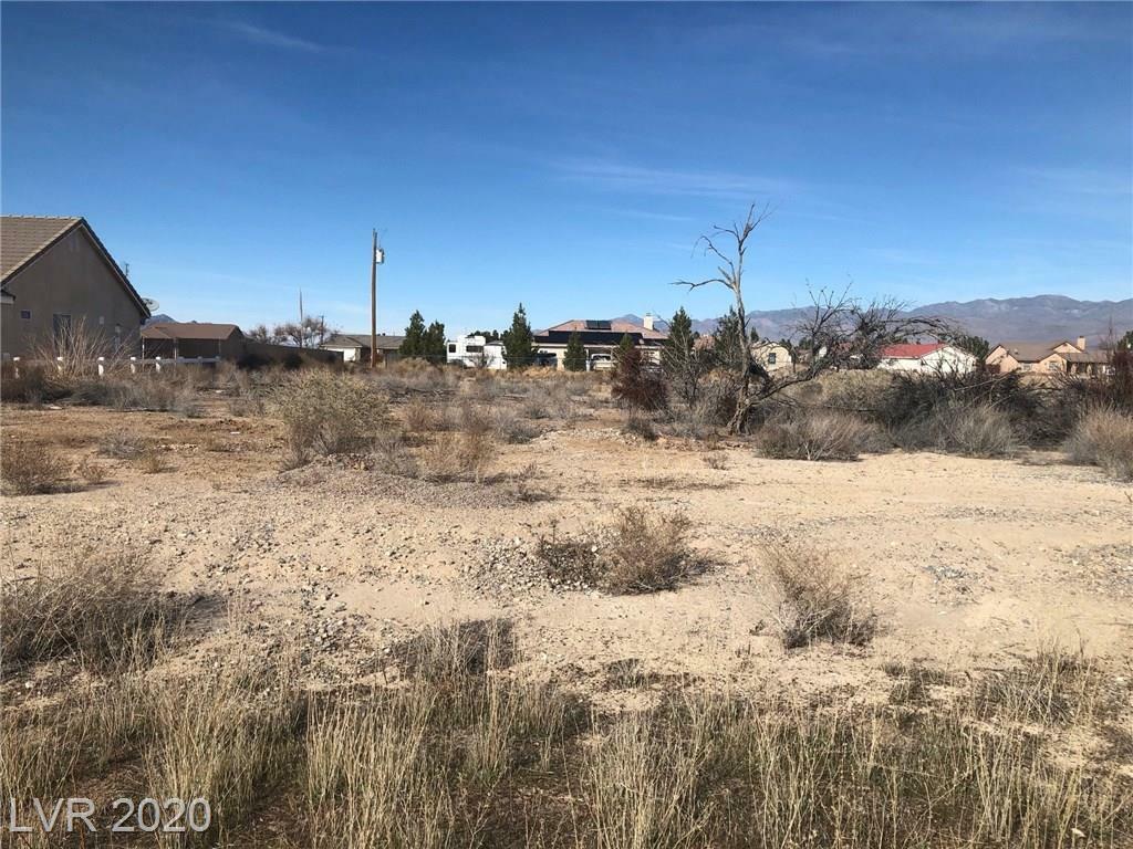 Property Photo:  60 East Jaybird  NV 89048 