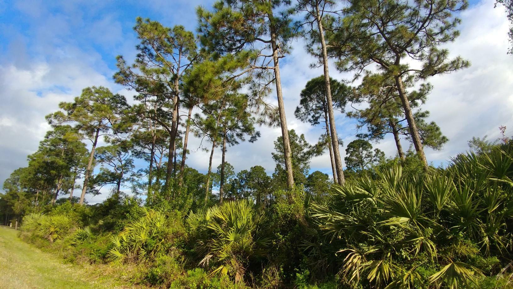 Property Photo: 00 73rd Court N FL 33470