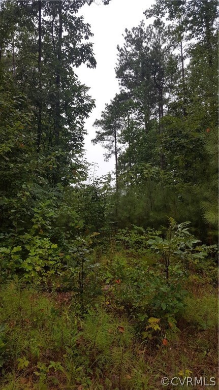 Property Photo:  0 Scotts Bottom Road  VA 23936 