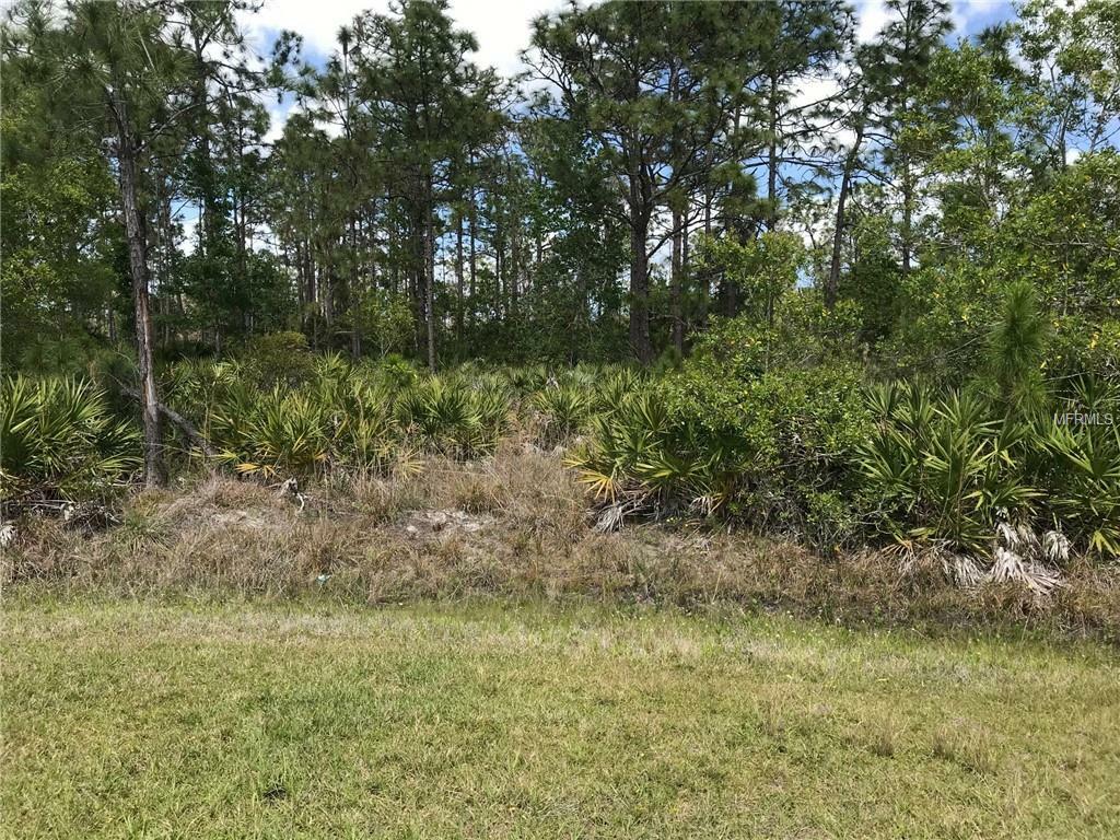 Property Photo:  Lot 29 Sodbury Street  FL 32833 