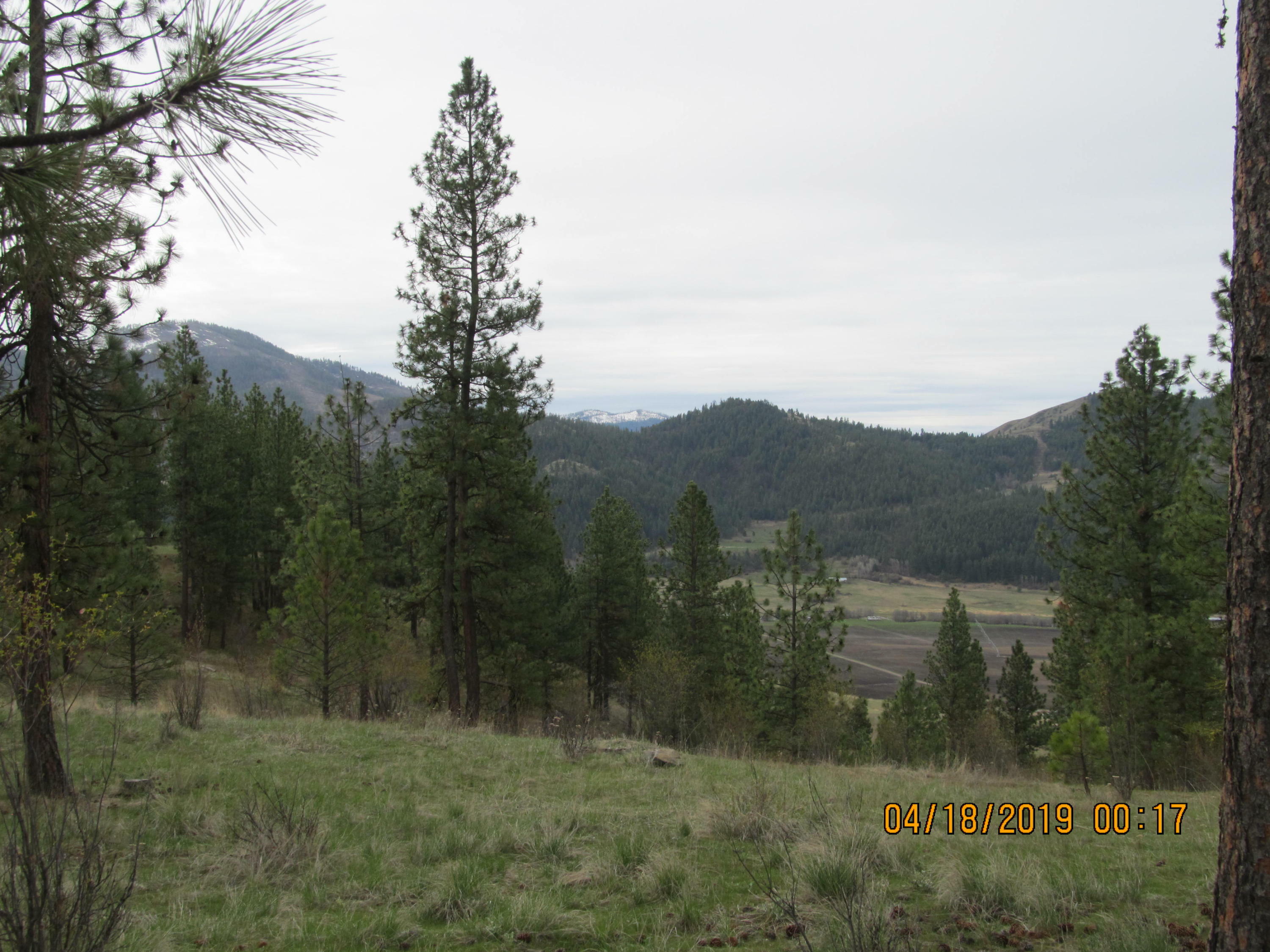 Nna Selder Rd  Hunters WA 99137 photo