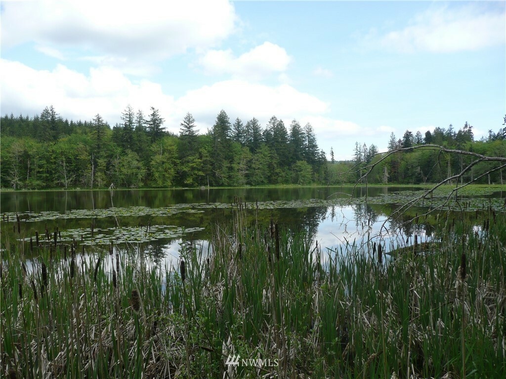 Property Photo:  999 Rice Lake Road  WA 98376 