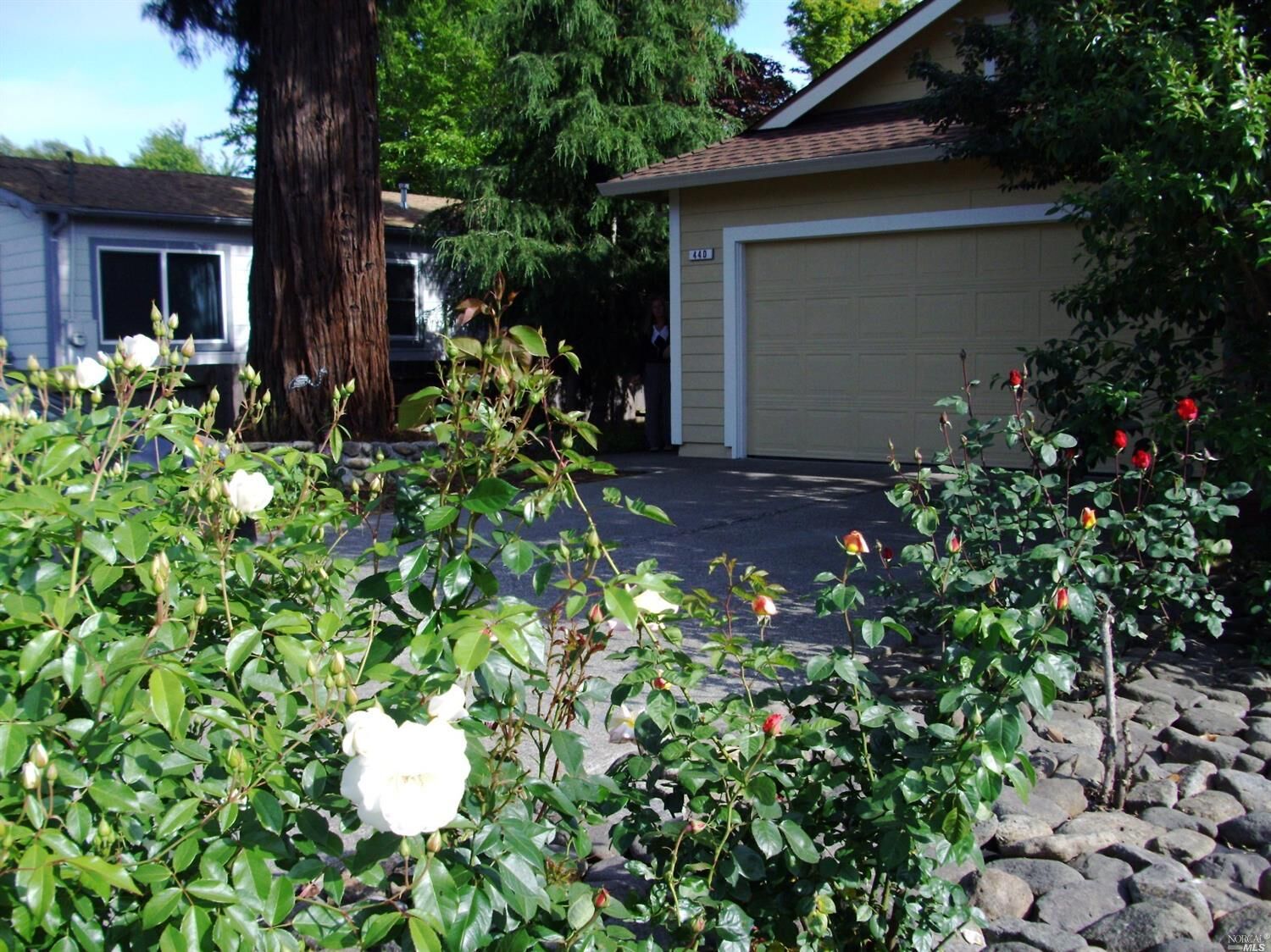 Property Photo:  440 Trowbridge Street  CA 95401 