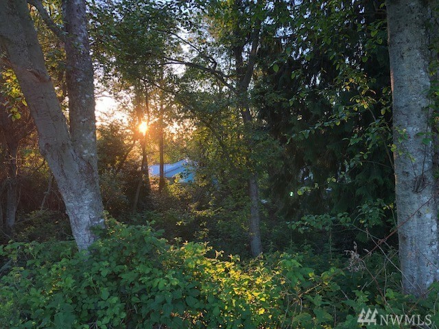Property Photo: Lot 12 Haines Rd WA 98249