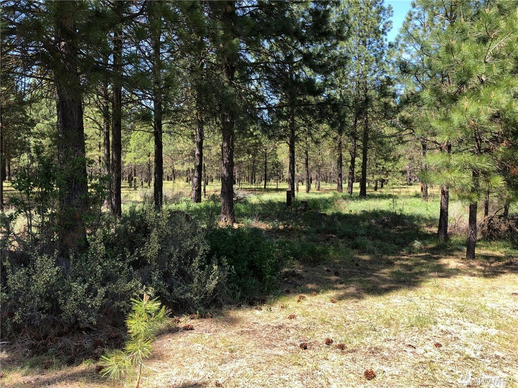 Property Photo:  3581 Hwy 970 (Lot 1)  WA 98922 