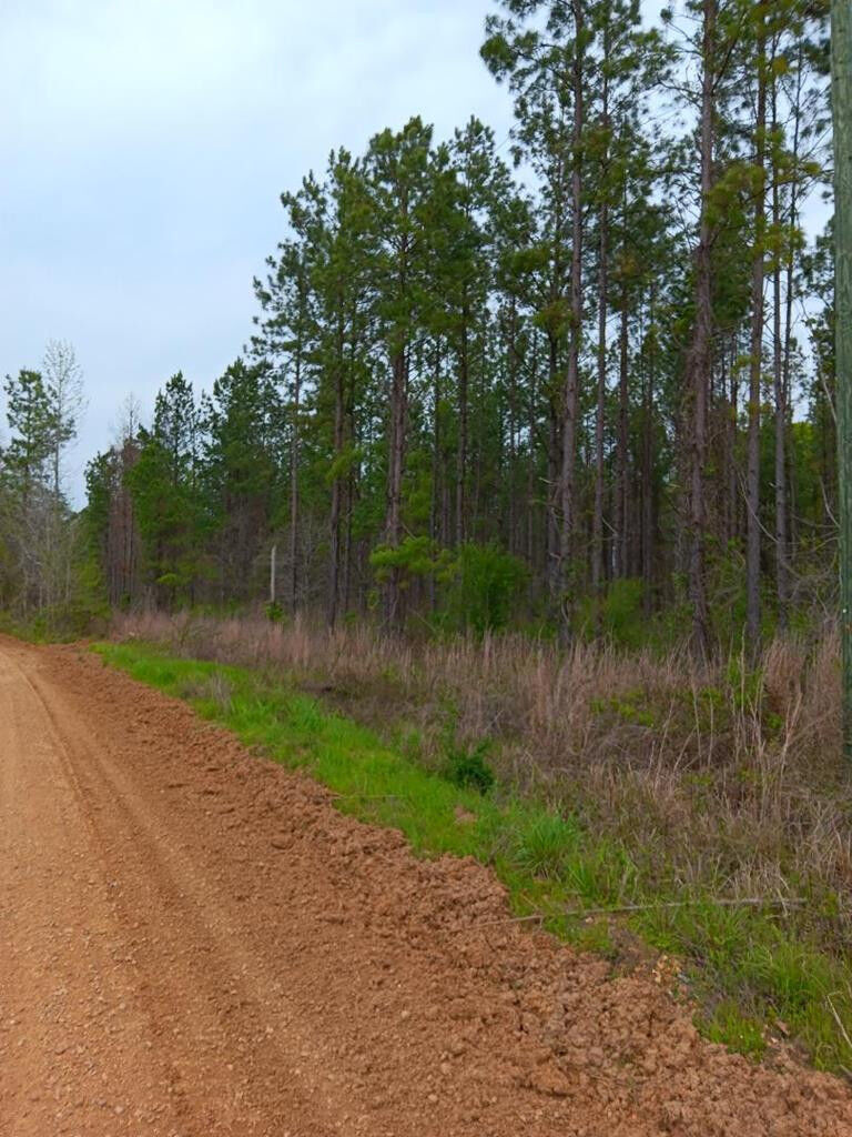 Property Photo:  13229 Three Rivers Road  MS 39503 