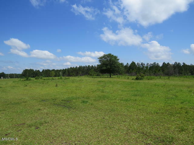 Property Photo: 0 J P Ladner Road MS 39571
