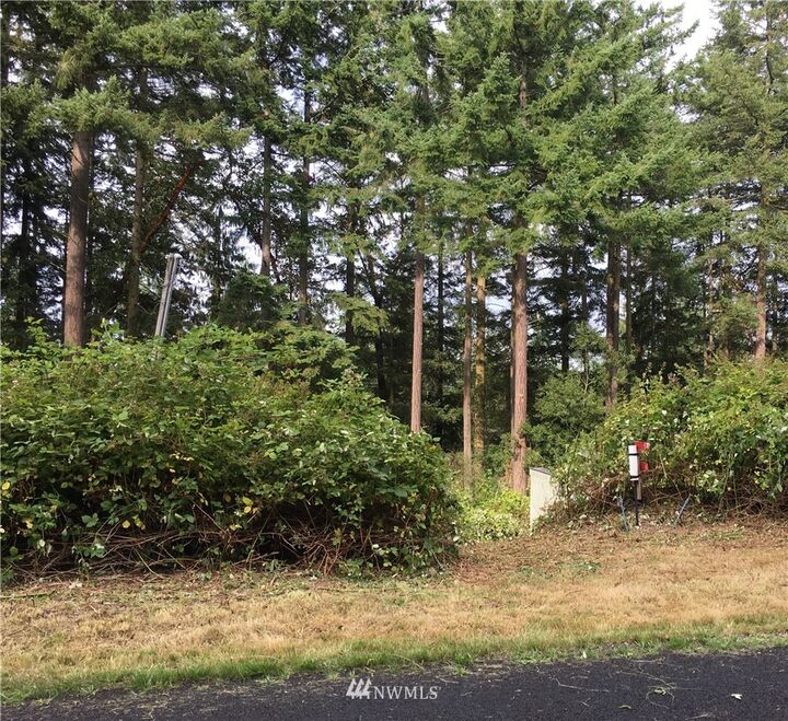 51 Lylus Lane  Port Hadlock WA 98339 photo