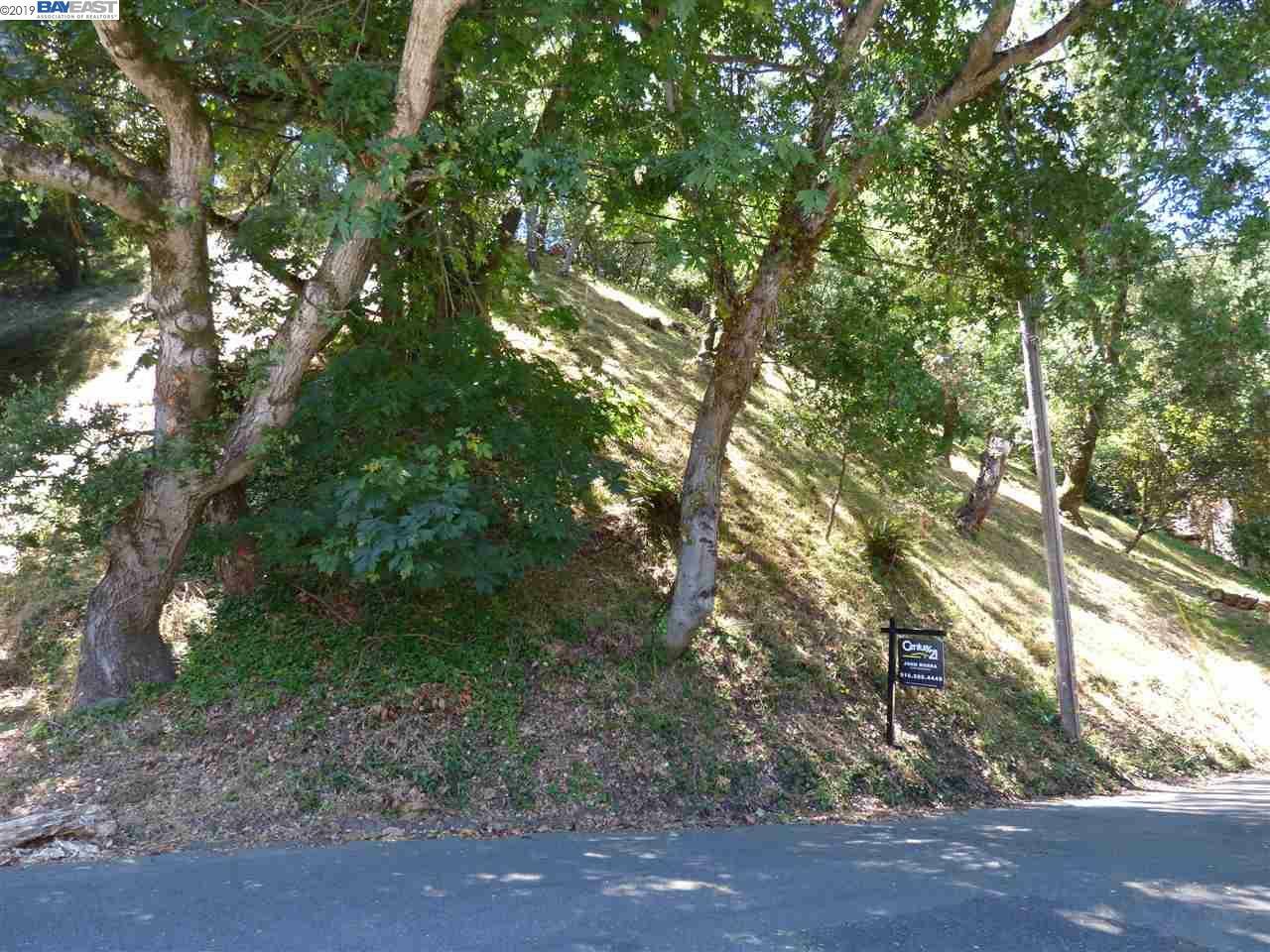 Property Photo:  Homewood Dr  CA 94603 