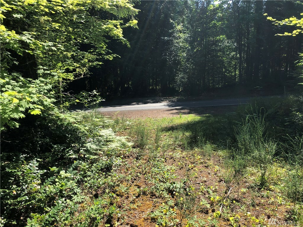 Property Photo: 42xx N Lake Cushman Rd WA 98548