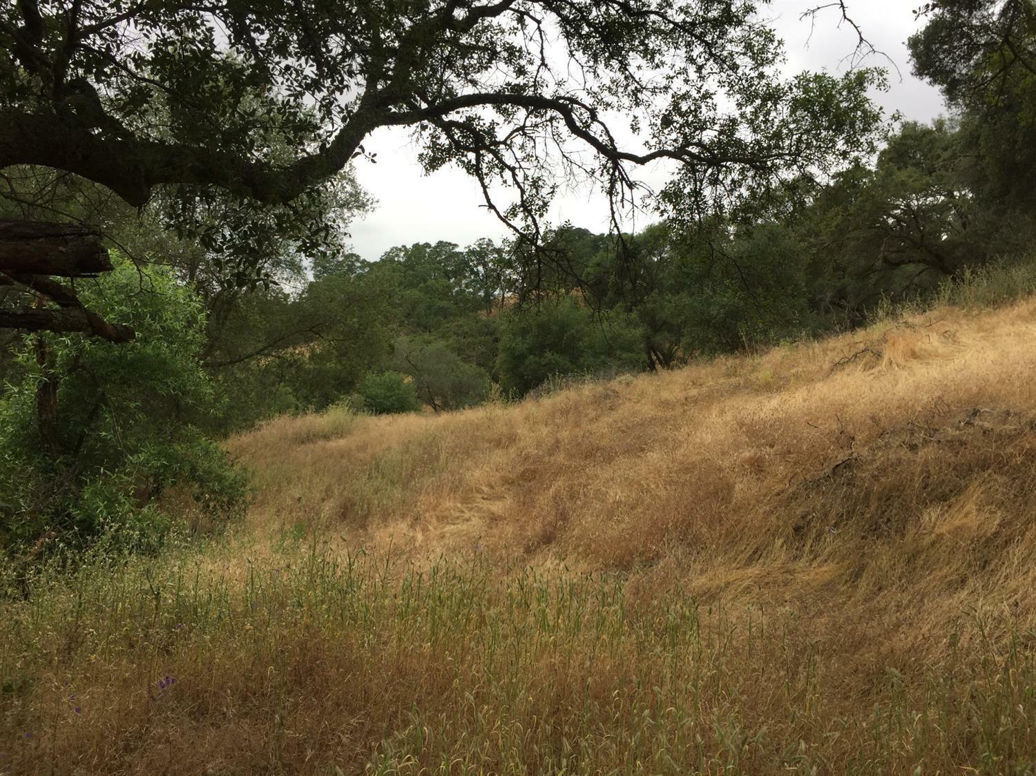 Property Photo:  0 Old Drytown Road  CA 95699 