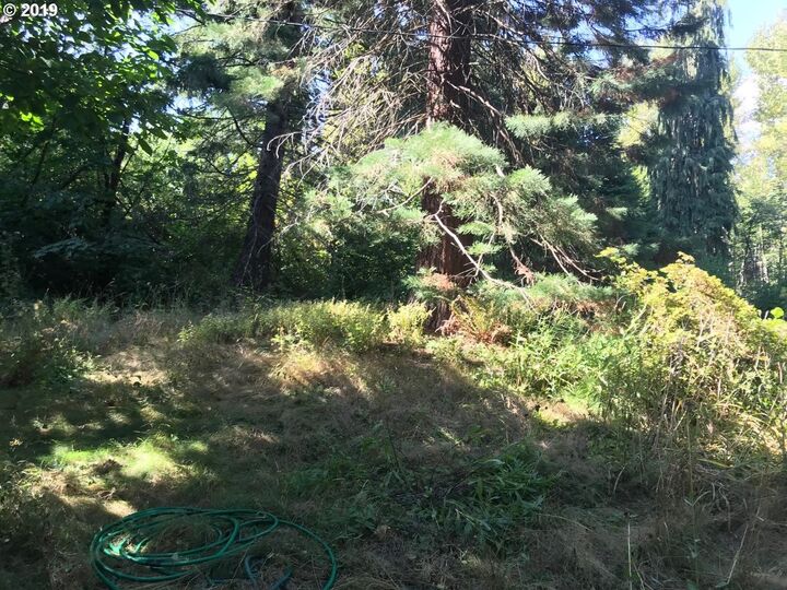 325 SW Ryan Allen Rd  Stevenson WA 98648 photo