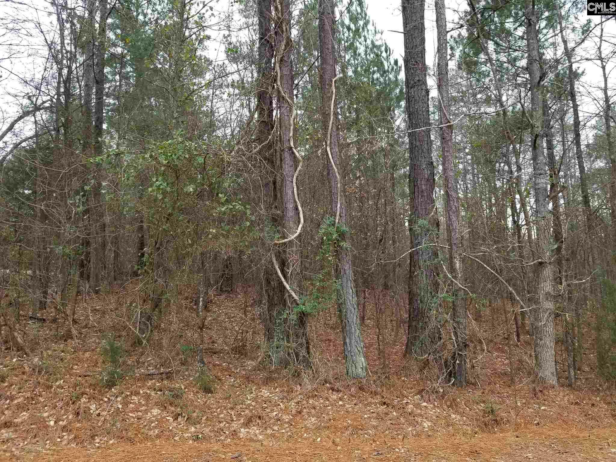 Property Photo: Lot 16 Charming Circle SC 29180