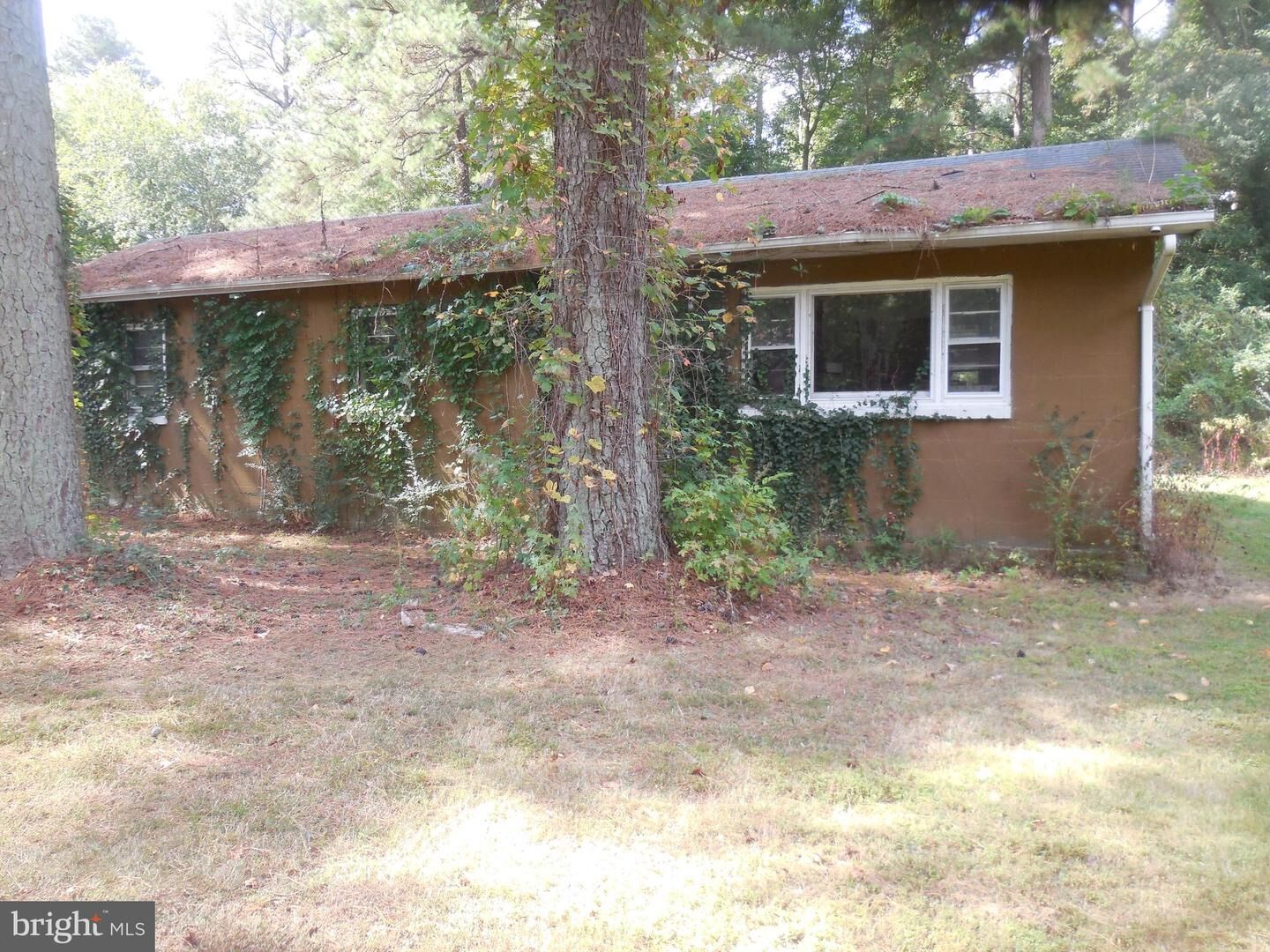 Property Photo:  Lot 3 Teddy Way  MD 20653 