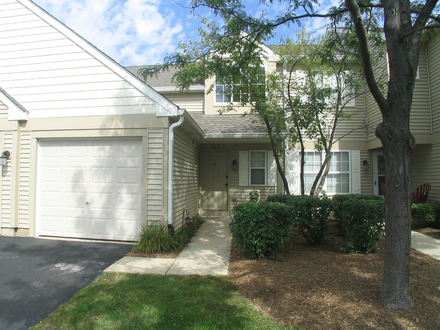 Property Photo: 2919 Rutland Circle 203 IL 60564