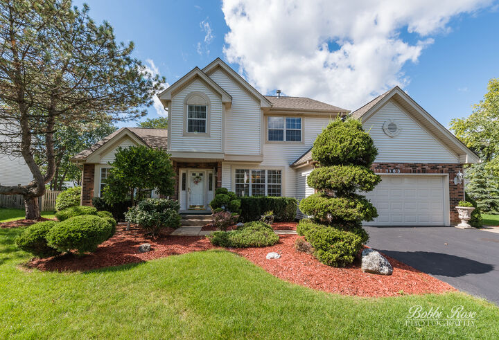 1163 Donegal Lane  Barrington IL 60010 photo