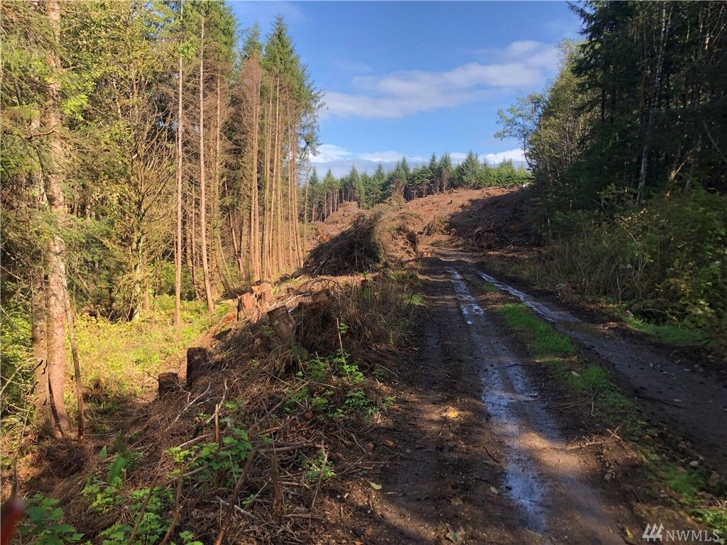 Property Photo:  0 Xxx- Roosevelt Beach  WA 98571 