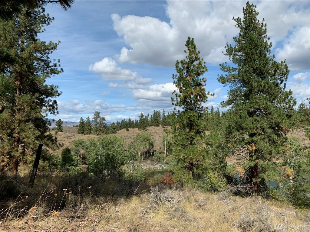 Property Photo:  Tbd Twin Lakes Rd  WA 98862 