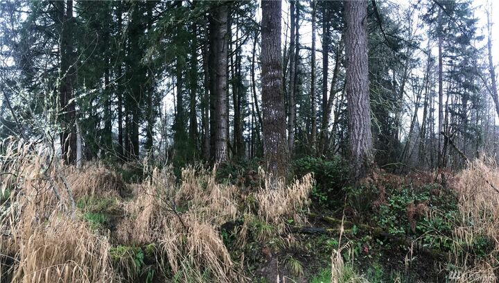 Property Photo:  1 Haywire Rd  WA 98565 