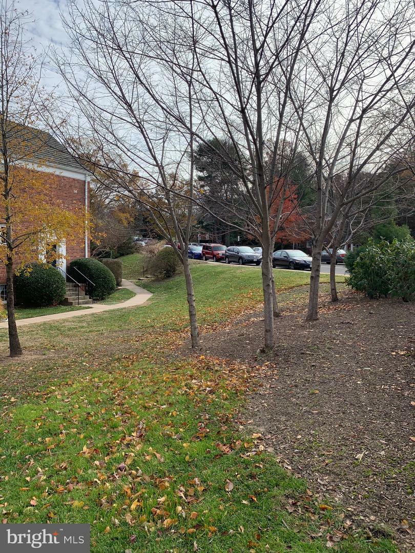 Property Photo:  3771 Gunston Road  VA 22302 