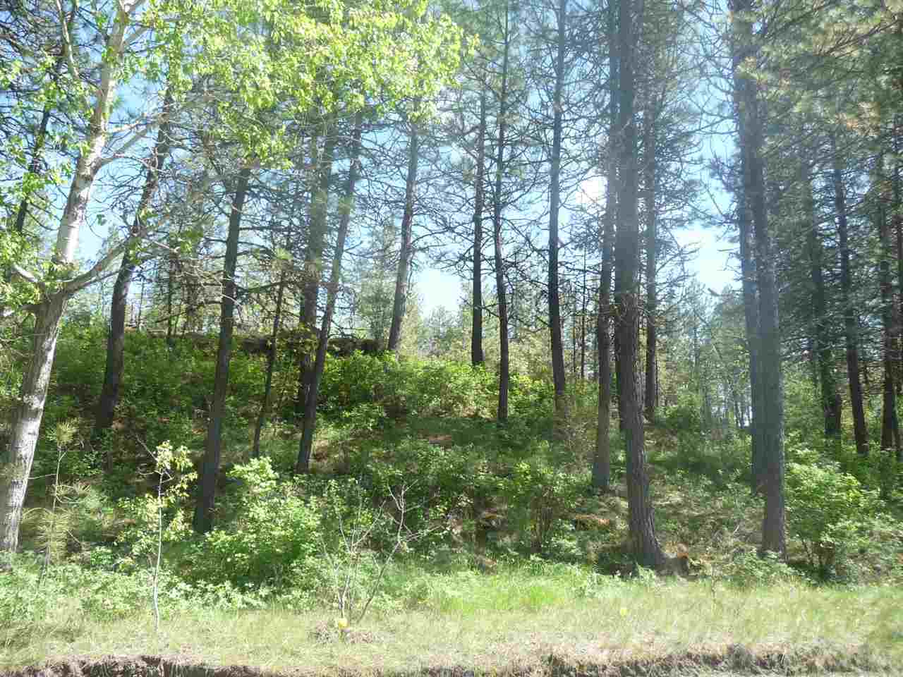 Property Photo:  0000 W Anderson Rd  WA 99004 