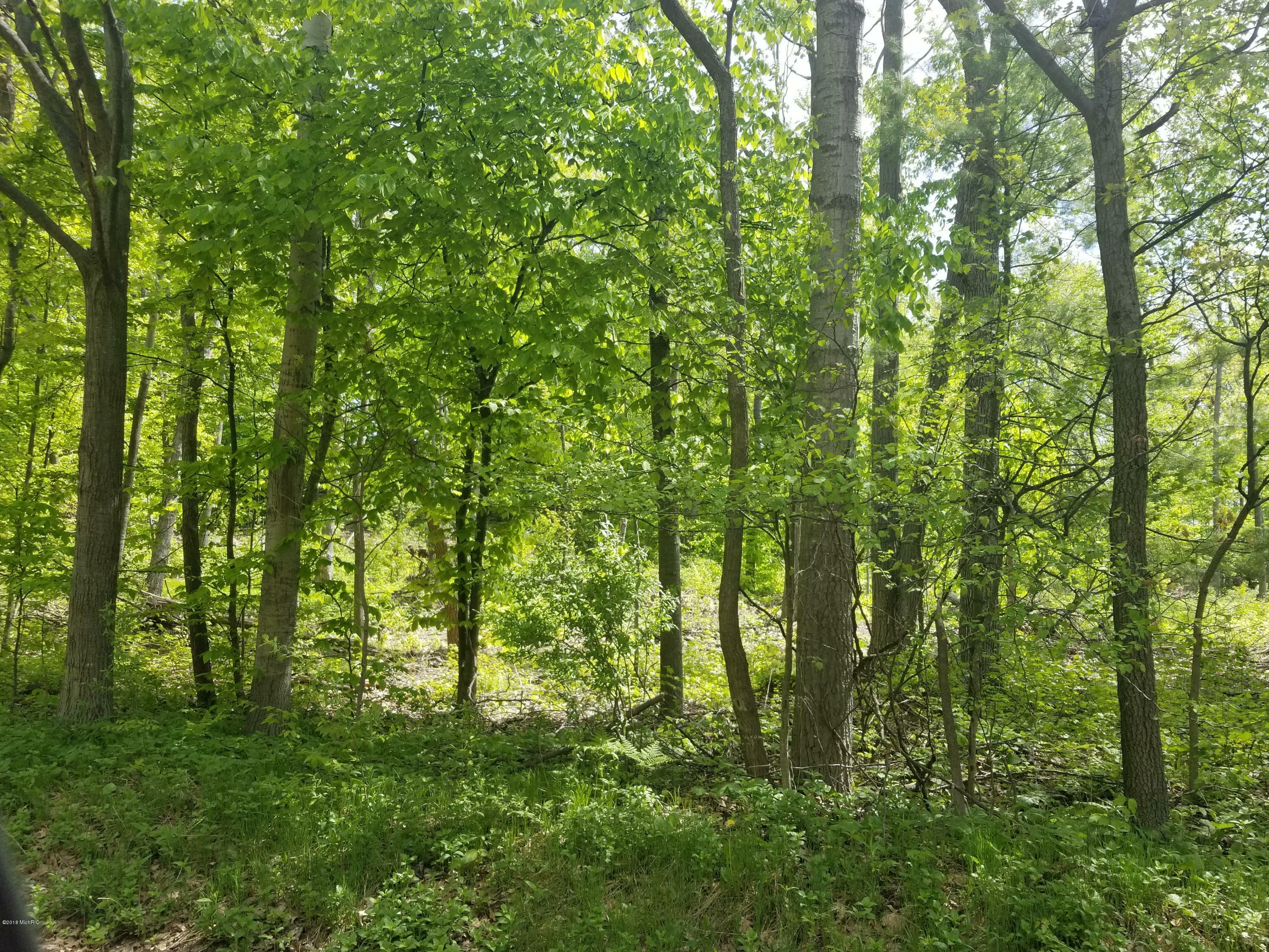 Property Photo:  40 Acres W Pierce Rd  MI 49455 