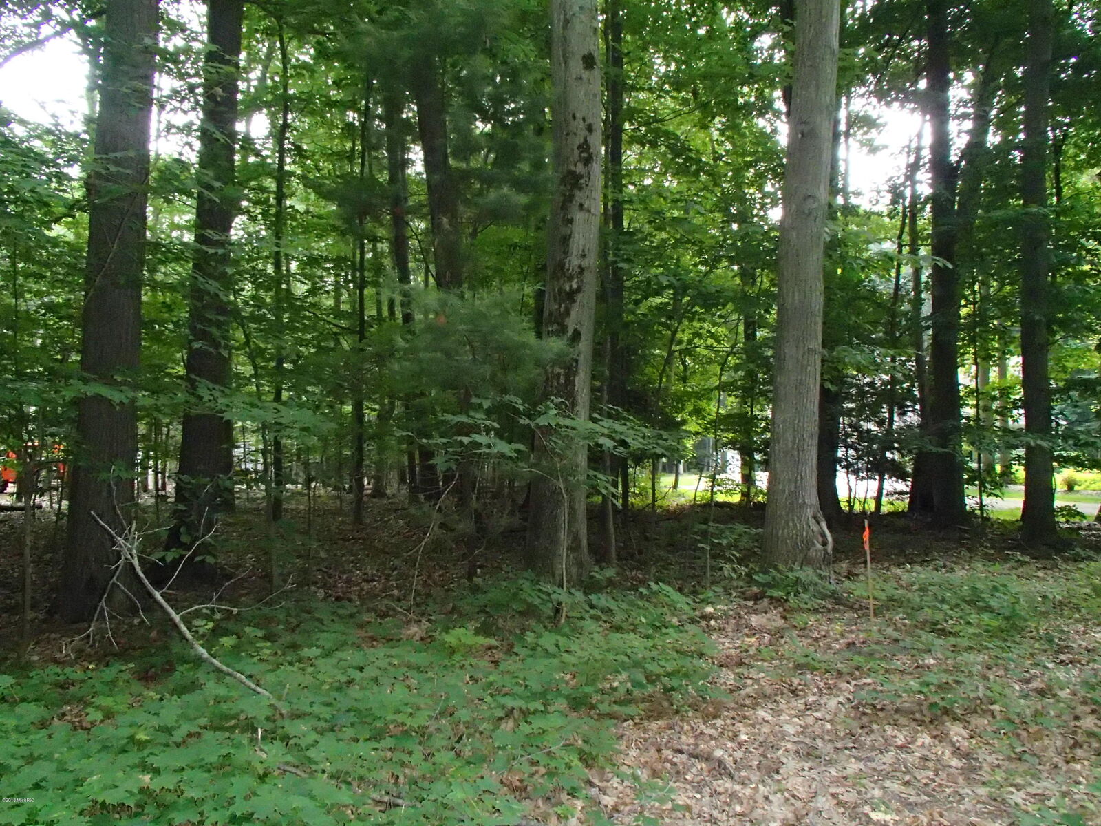 Property Photo: 0 N Scenic Drive MI 49445
