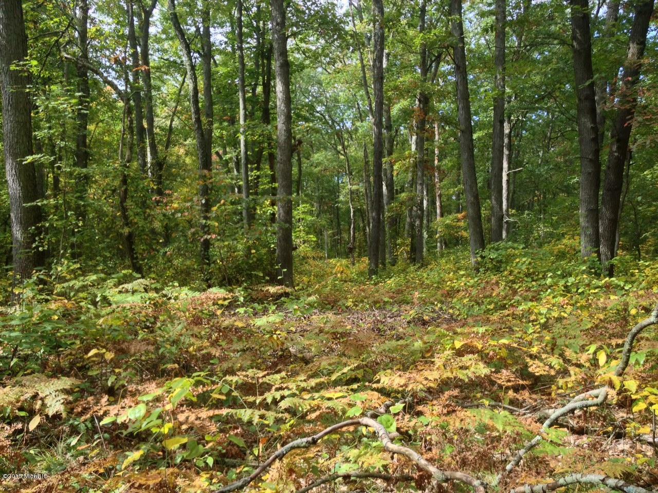 Property Photo:  55th Street  MI 49408 