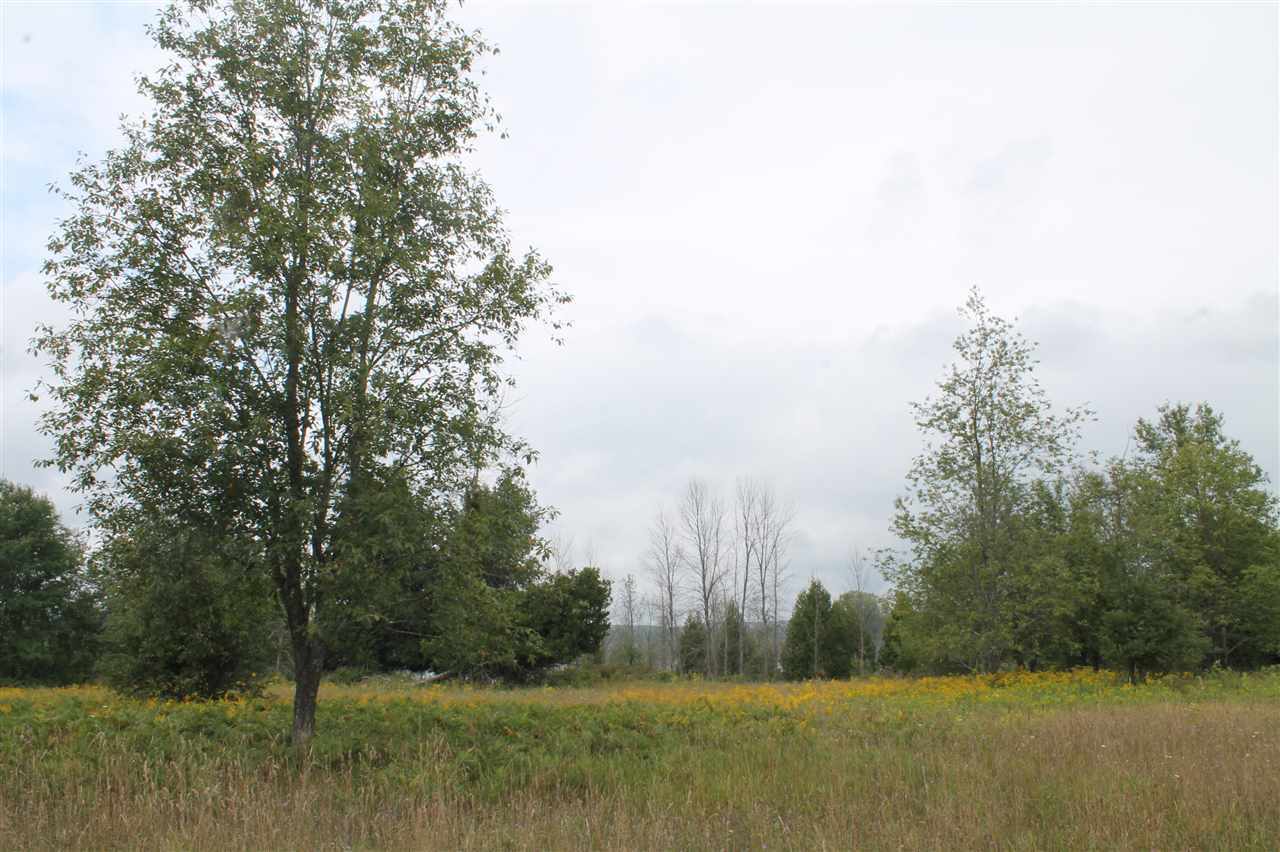 Property Photo: 6 Amon Meadows Lot # 6 MI 49706