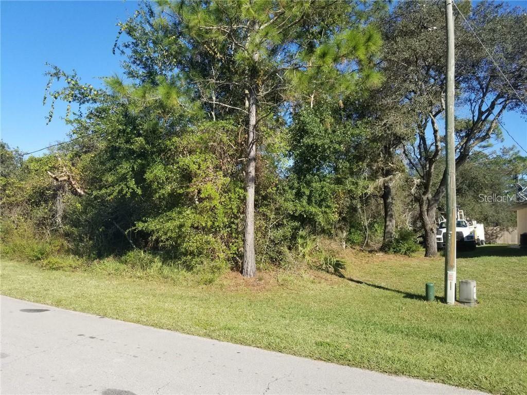 Property Photo:  3239 Urmey Avenue  FL 32738 