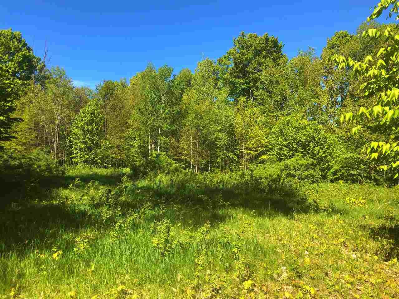 Property Photo:  701 Greenway  MI 49740 