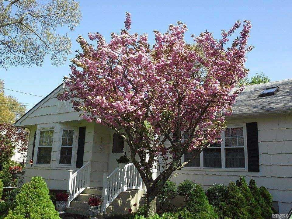 Property Photo:  44 Norwood Drive  NY 11967 